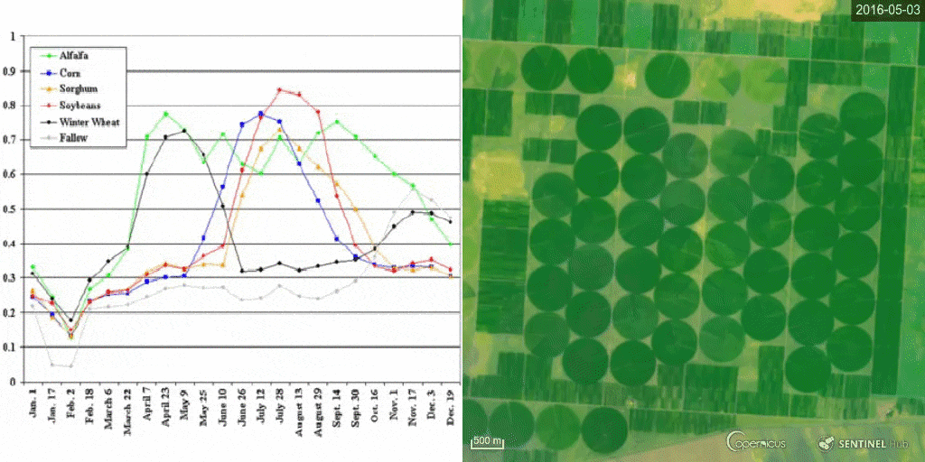 A typical NDVI profile of several crop types (left), a real-life situation for four years in Küçükyıldız, Turkey (right) — a challenge for you, match these two!