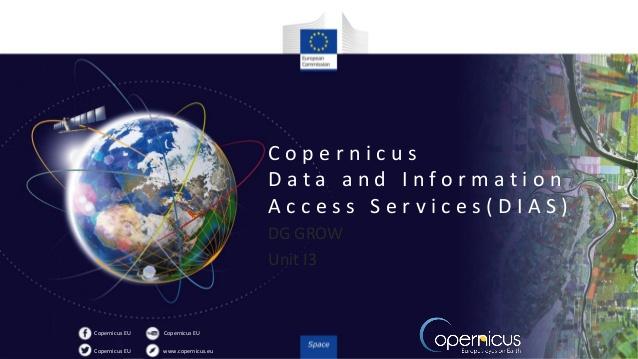Sentinel Hub powering Copernicus Data and Information Access Services (DIAS)