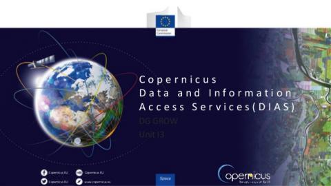 Sentinel Hub powering Copernicus Data and Information Access Services (DIAS)